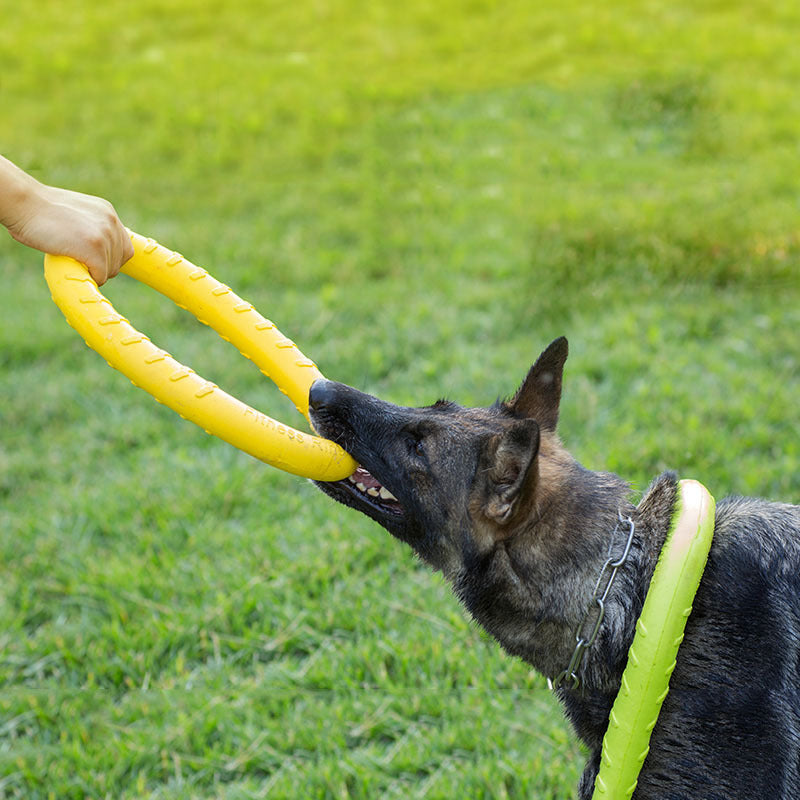 Pet Dog Training Pull Ring