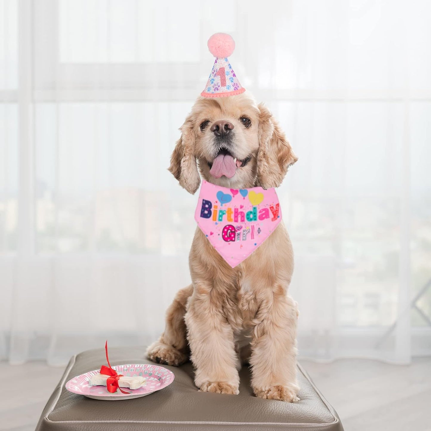 Birthday Party Supplies