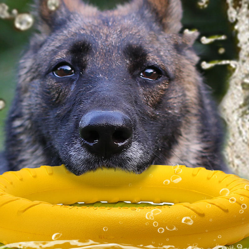 Pet Dog Training Pull Ring