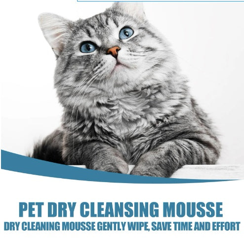 Dry Wash Dry Cleaning Foam Body Wash For Cat And Dog