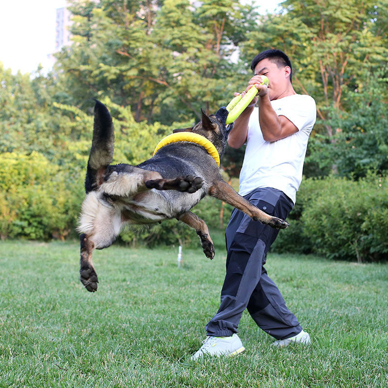 Pet Dog Training Pull Ring