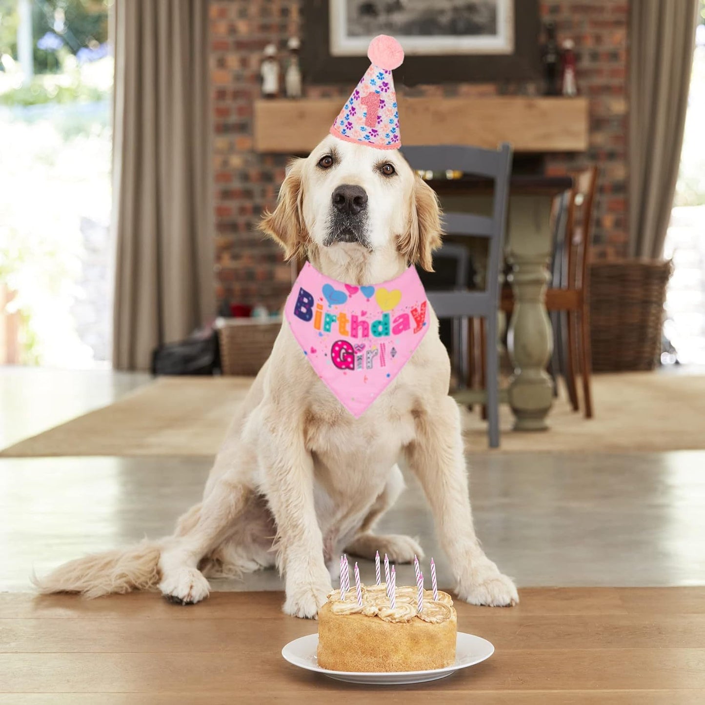 Birthday Party Supplies