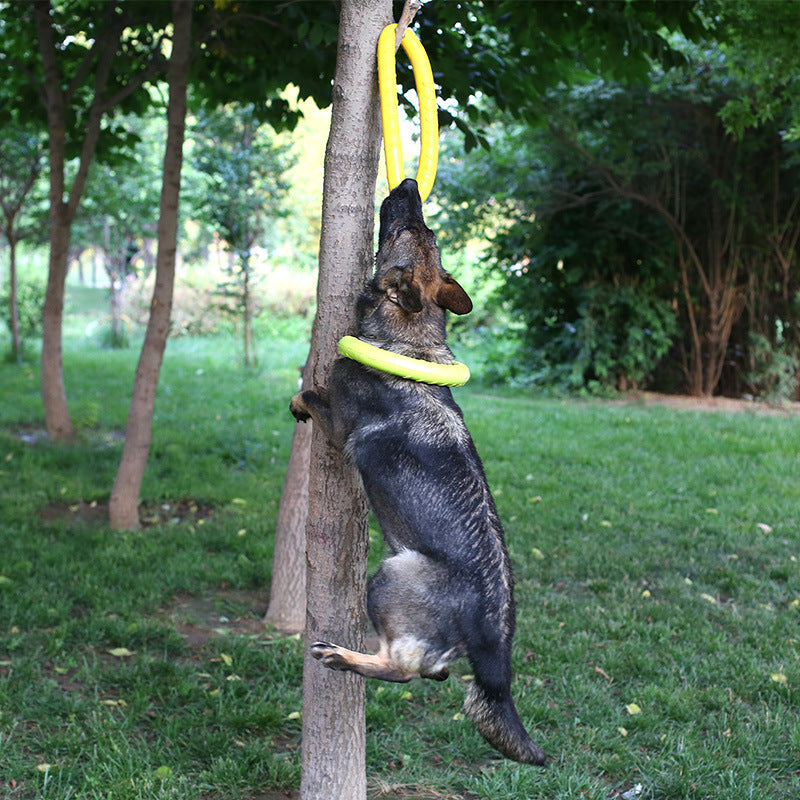 Pet Dog Training Pull Ring