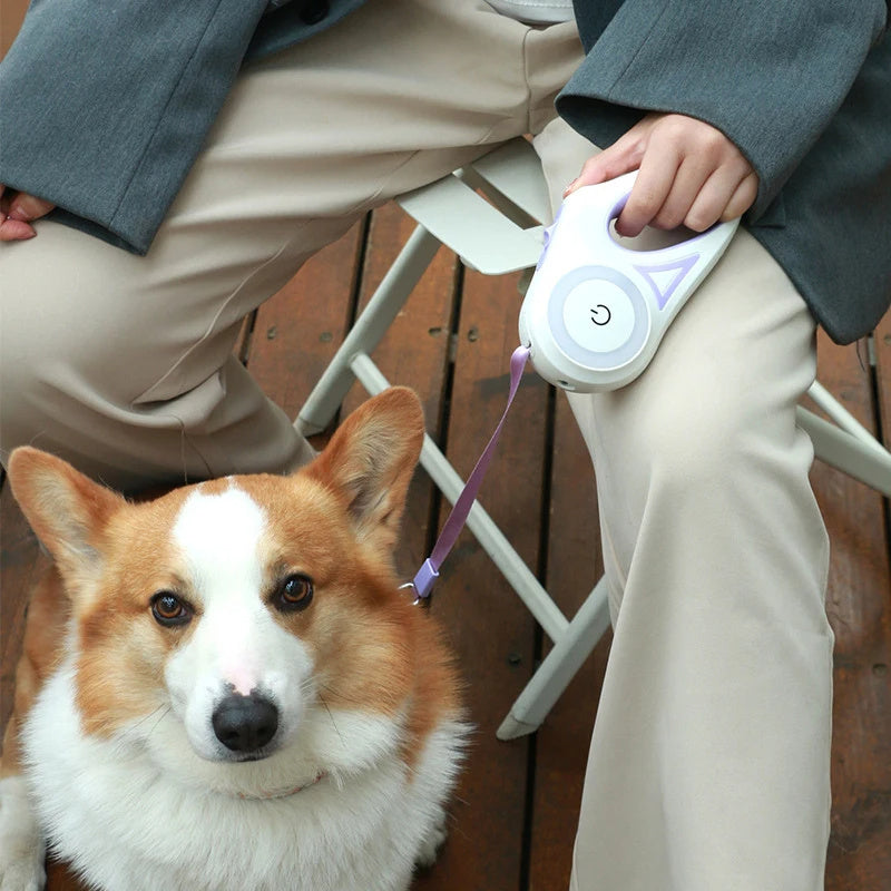 3 And 5M Dog Lead Light Retractable