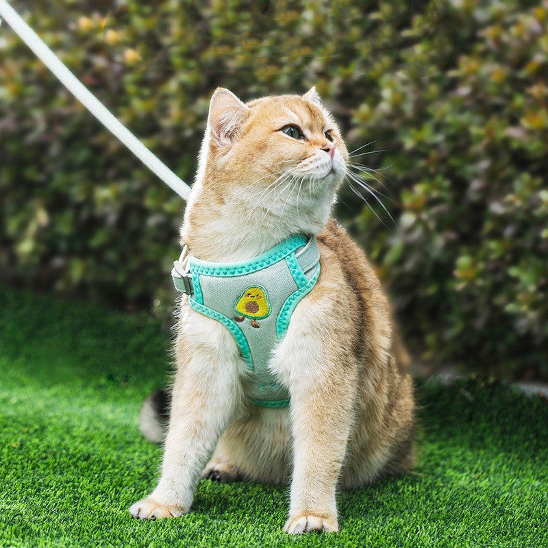 Cat Traction Anti Break