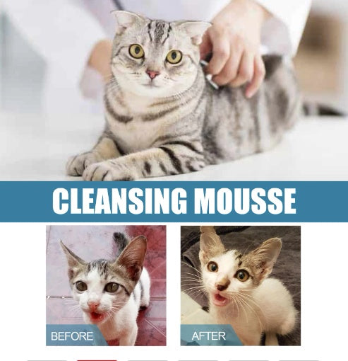 Dry Wash Dry Cleaning Foam Body Wash For Cat And Dog