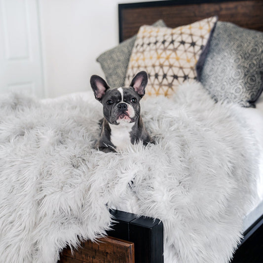 Winter Thick Dog Warm Pad High-end