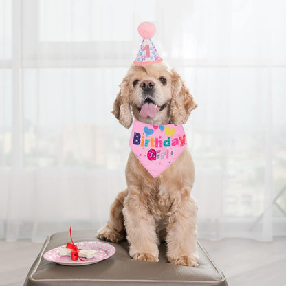 Birthday Party Supplies