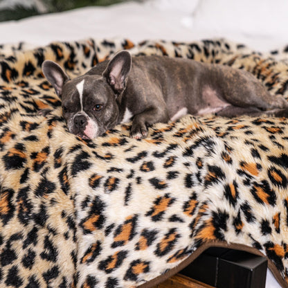 Winter Thick Dog Warm Pad High-end