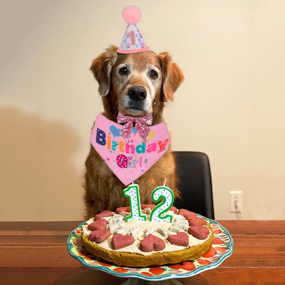 Birthday Party Supplies
