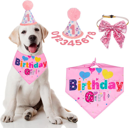 Birthday Party Supplies