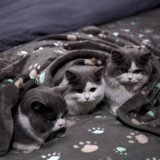 Dog And Cat Thickened Pet Blanket