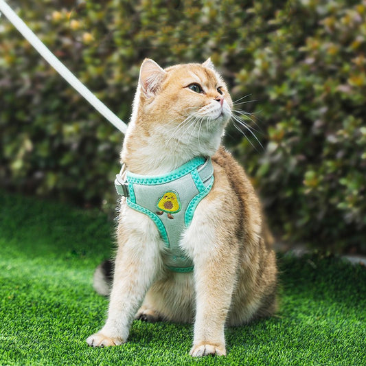 Cat Traction Anti Break