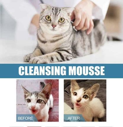 Dry Wash Dry Cleaning Foam Body Wash For Cat And Dog