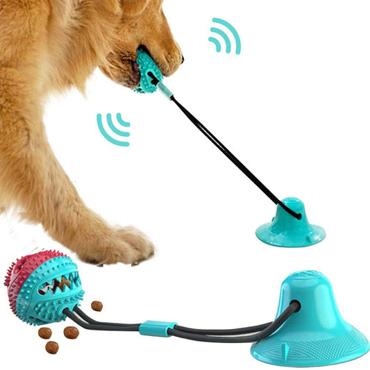 Silicon Suction Cup Tug Interactive